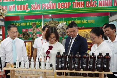 Tôn vinh và phát triển tinh hoa nghề thủ công truyền thống