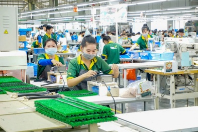 Sản xuất xanh: Con đường 'khôn ngoan' để doanh nghiệp xuất khẩu vươn tầm quốc tế