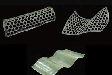 Bước đột phá trong sản xuất nhựa tre: Bền chắc, thân thiện hơn với môi trường