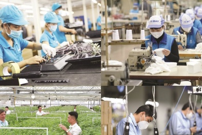 Tăng năng suất để doanh nghiệp nhỏ và vừa lớn mạnh