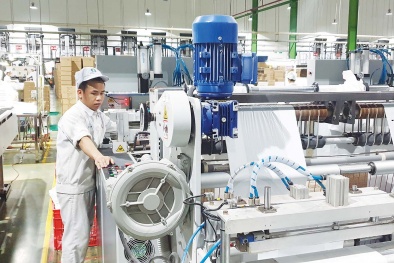 Tăng năng suất – nâng chất lượng: Hướng đi sống còn cho doanh nghiệp ngành nhựa