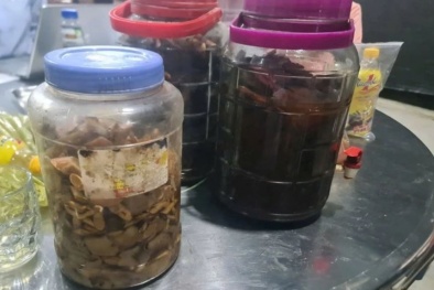 ‘Rượu ngâm rễ cây’ gây ngộ độc liên tiếp: Khi thói quen dân gian biến thành hiểm họa