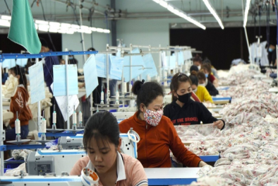 Gia Lai thúc đẩy doanh nghiệp chuyển đổi số, ứng dụng AI nâng cao năng lực cạnh tranh