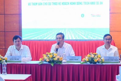 Sản xuất giảm phát thải lĩnh vực trồng trọt- tiên phong bảo vệ môi trường, hướng đến nền nông nghiệp xanh