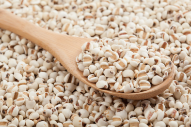 Hạt ý dĩ chỉ có tác dụng tốt khi đảm bảo tiêu chuẩn chất lượng