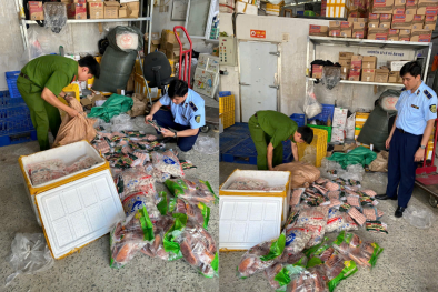 Hà Nội thu giữ hàng loạt sản phẩm thực phẩm, hàng hóa vi phạm trong dịp Trung thu