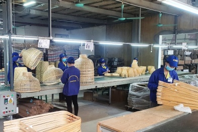 Tích hợp hệ thống quản lý và công cụ cải tiến năng suất hướng tới tối ưu hóa hoạt động doanh nghiệp