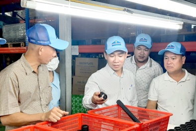 Hiệu quả từ tư duy cải tiến: Những mô hình doanh nghiệp điển hình