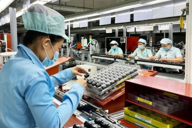 Nâng cao năng suất – trụ cột chiến lược cho tăng trưởng kinh tế Việt Nam