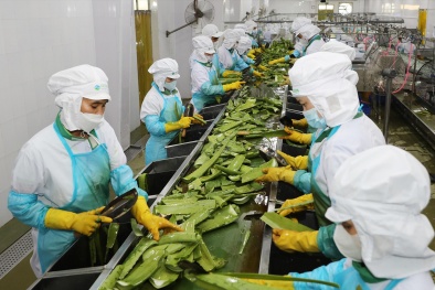 Khai thác thị trường Halal tỷ đô: Cơ hội hiện hữu cho doanh nghiệp Việt