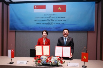 Mở rộng cung ứng sản phẩm nông nghiệp chất lượng của Việt Nam cho thị trường Singapore