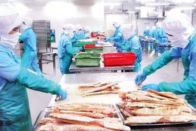 Tín hiệu khởi sắc của ngành sản xuất: Bật tăng mạnh nhưng chưa thể yên tâm