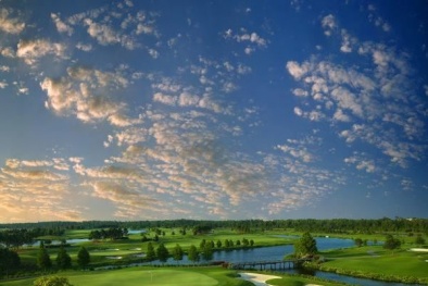 Vinhomes Green Paradise nộp hồ sơ bầu chọn '7 Kỳ quan đô thị tương lai' thế giới