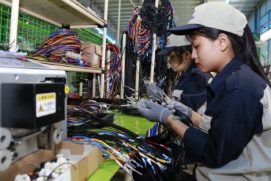 Hai con đường mới cho dòng vốn đổi mới sáng tạo