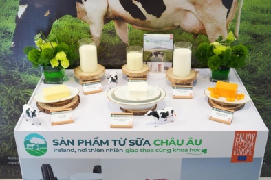 Ra mắt chiến dịch 'Sữa Châu Âu - Ireland' thúc đẩy cung cấp sữa chất lượng cao cho thị trường Việt Nam