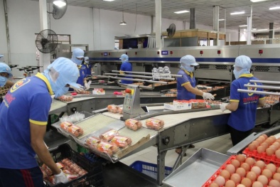 Khai mở tiềm năng ngành Halal – hướng đi mới cho kinh tế Việt Nam