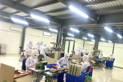 Phát triển sản phẩm theo tiêu chuẩn Halal – Hướng đi bền vững cho thương hiệu Việt 