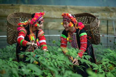 Đặc sản vùng cao 'lên kệ' tại ngày hội sản phẩm vùng đồng bào dân tộc thiểu số và miền núi phía Bắc