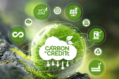 Chính sách thuế carbon Nhật Bản và một số hàm ý chính sách cho Việt Nam