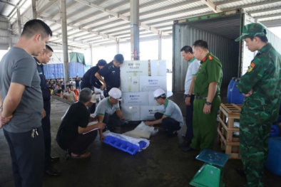 Tăng cường biện pháp ngăn chặn việc kê khai sai tên hàng hóa nhập khẩu để trục lợi 