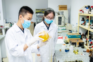 Nhiều điểm mới trong phân cấp, phân quyền tại Nghị định 262 và 267