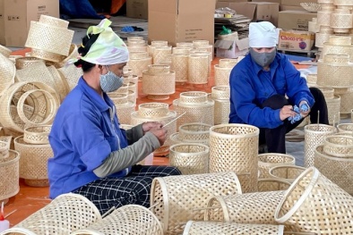 ‘Đòn bẩy kép’ đưa nông thôn bứt phá: Khi vốn và công nghệ cùng song hành