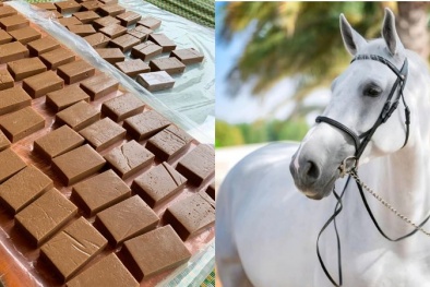 Cảnh báo đối với người huyết áp cao và tim mạch không nên dùng cao ngựa bồi bổ sức khỏe