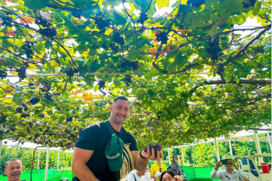 Nông nghiệp đô thị – hướng đi chiến lược của các thành phố hiện đại