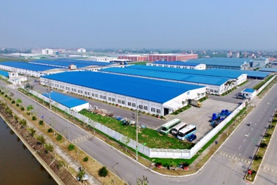 Chuyển dịch năng lượng kép trở thành xu thế mới nâng cao năng suất và phát triển tuần hoàn