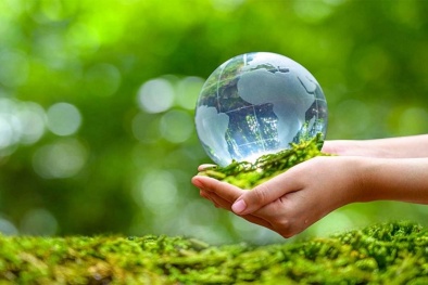 Tiêu chuẩn môi trường: Cân bằng giữa bắt buộc và tự nguyện để thúc đẩy phát triển xanh