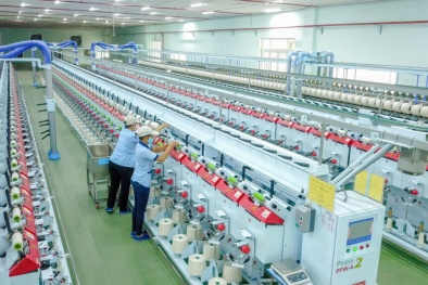 Khai thác sức mạnh công nghệ số - nâng cao năng suất chất lượng ngành dệt may