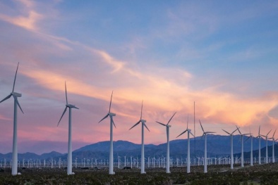 Điện gió và sử dụng năng lượng hiệu quả: Hai trụ cột đưa Việt Nam đến mục tiêu Net Zero 2050