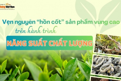 [Longform] Vẹn nguyên ‘hồn cốt’ sản phẩm vùng cao trên hành trình năng suất chất lượng