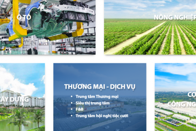 THACO: Chú trọng nghiên cứu và ứng dụng KH&CN nâng cao năng suất, chất lượng sản phẩm