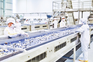 Bắc Ninh hỗ trợ doanh nghiệp nâng cao năng suất chất lượng trong giai đoạn phát triển mới