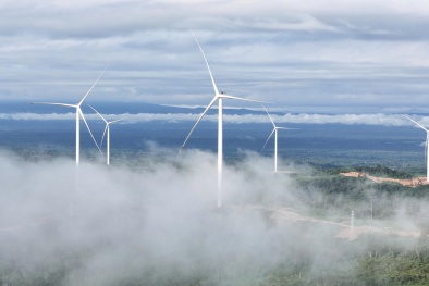 Khát vọng tạo giá trị bền vững từ năng lượng tái tạo của Bầu Hiển