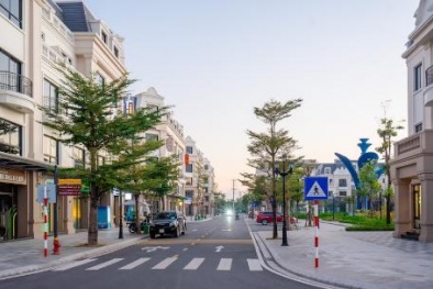 Một lần bỏ vốn, ba dòng doanh thu: Công thức gia tăng lợi nhuận bền vững tại Asia Vibe