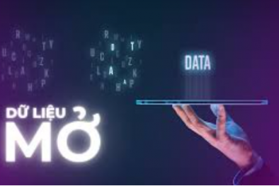 TCVN 14171:2024 – Hướng tới dữ liệu mở minh bạch và hiệu quả tại Việt Nam