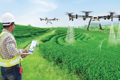 Điều gì khiến gene và AI trở thành tâm điểm tranh luận trong nông nghiệp?