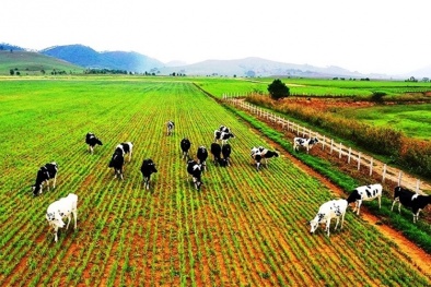 36 quốc gia và vùng lãnh thổ nhận đầu tư của Việt Nam trong 11 tháng năm 2025