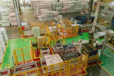 Kinh tế số mở đường tăng trưởng mới: Cơ hội vàng cho doanh nghiệp Việt Nam