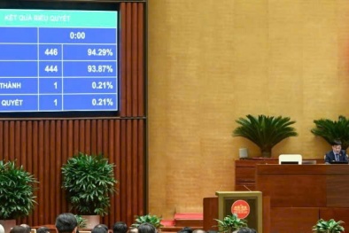 Quốc hội thông qua Luật Thương mại điện tử với tỷ lệ 444/446 đại biểu tán thành