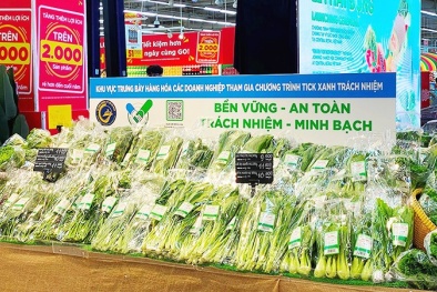 Làn gió tiêu dùng xanh mở đường cho chuyển đổi bao bì tại Việt Nam