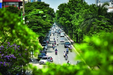 ISO 37120:2018 đo lường hoạt động dịch vụ và chất lượng cuộc sống đô thị