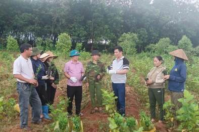 Thanh Hóa thúc đẩy ứng dụng khoa học – công nghệ nâng cao năng suất chất lượng
