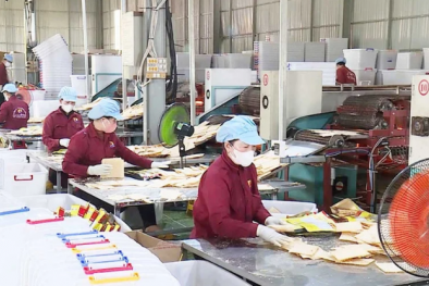 Gia Lai hiện thực hóa các biện pháp nâng cao năng suất để tăng trưởng bền vững