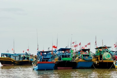 TCVN 14162:2024 về chuẩn kết nối và bảo mật dữ liệu nhật ký khai thác thủy sản điện tử