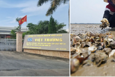 Hải Phòng nâng cao năng suất chất lượng qua giải pháp tiêu chuẩn và truy xuất nguồn gốc