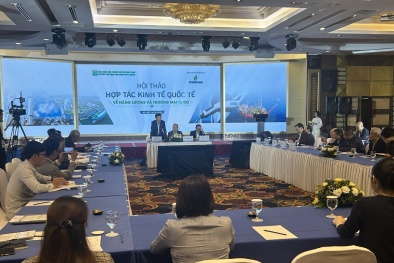 Chuyển dịch năng lượng - Việt Nam đang chịu áp lực kép