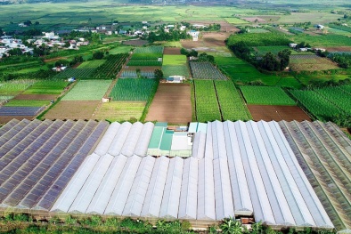 Doanh nghiệp nông sản nâng cao năng suất nhờ tích hợp ISO 22000:2018 và Kaizen